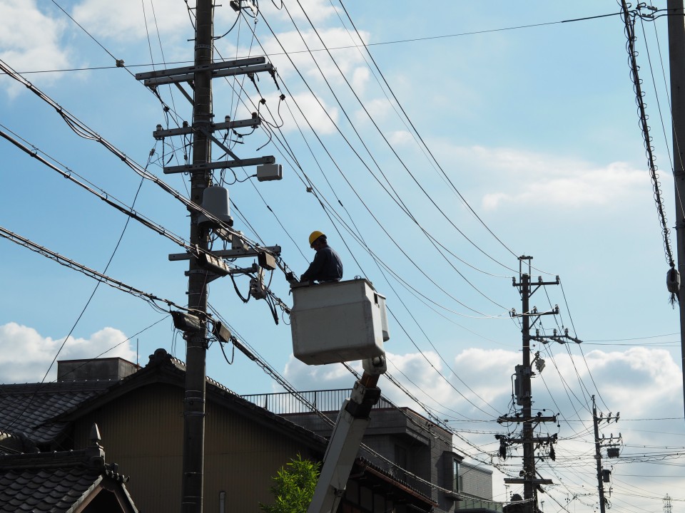 先輩社員の声
